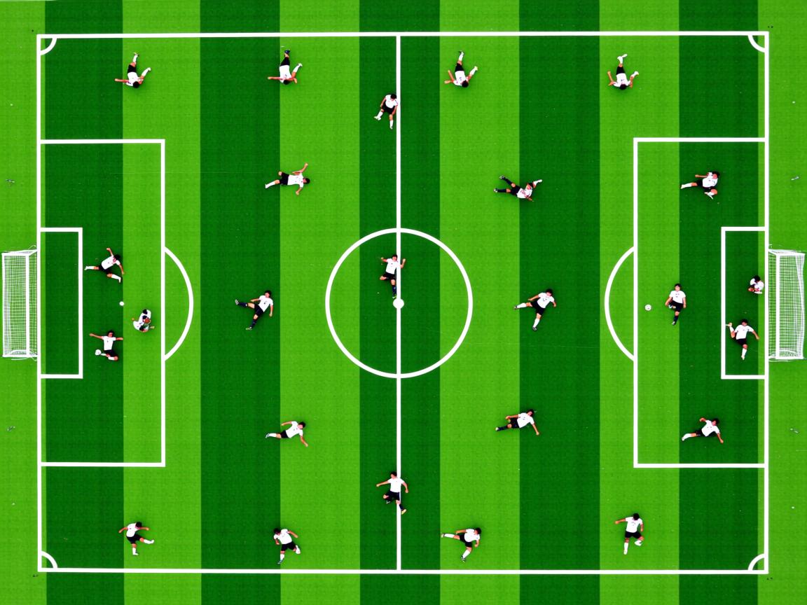 开云体育娱乐-CBA多支球队强化教练团队,cba教练兼球员 第2张