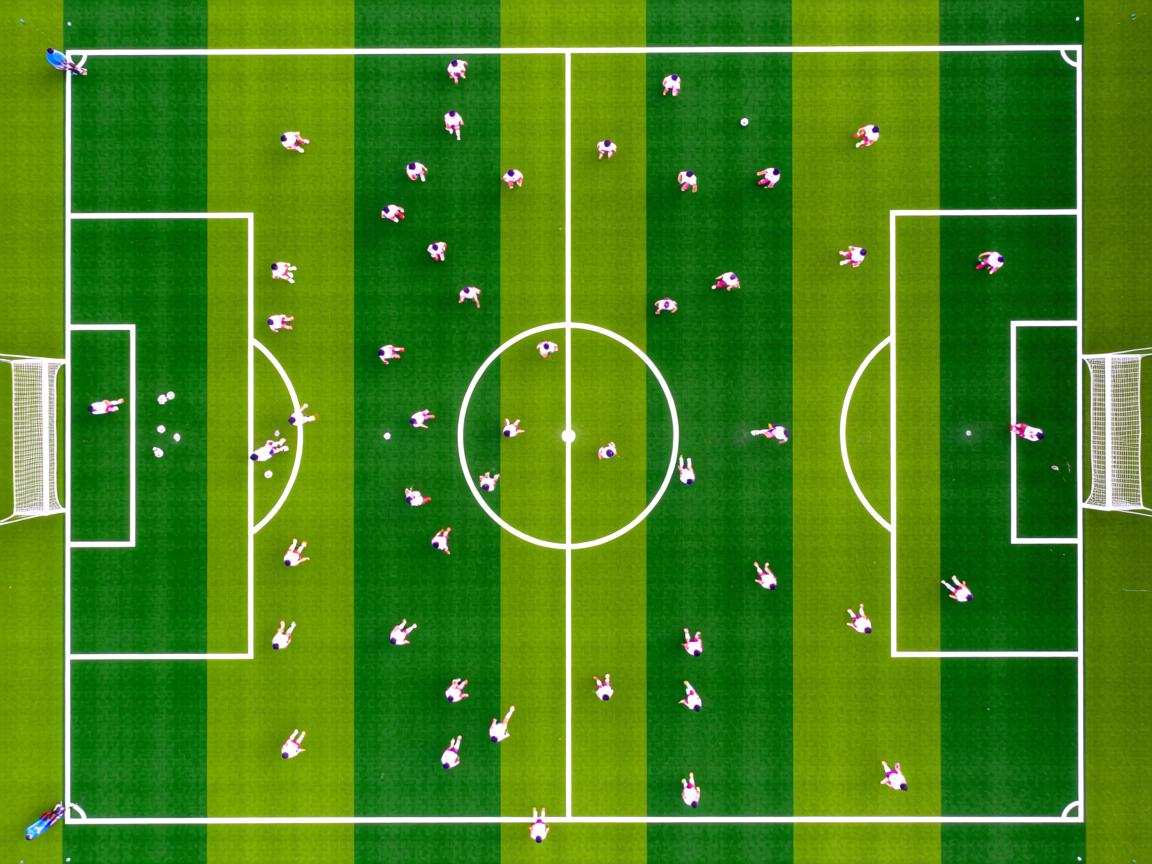 开云体育app官网-体育法律专题讲座进入体育类高校课堂，体育法讲解  第1张