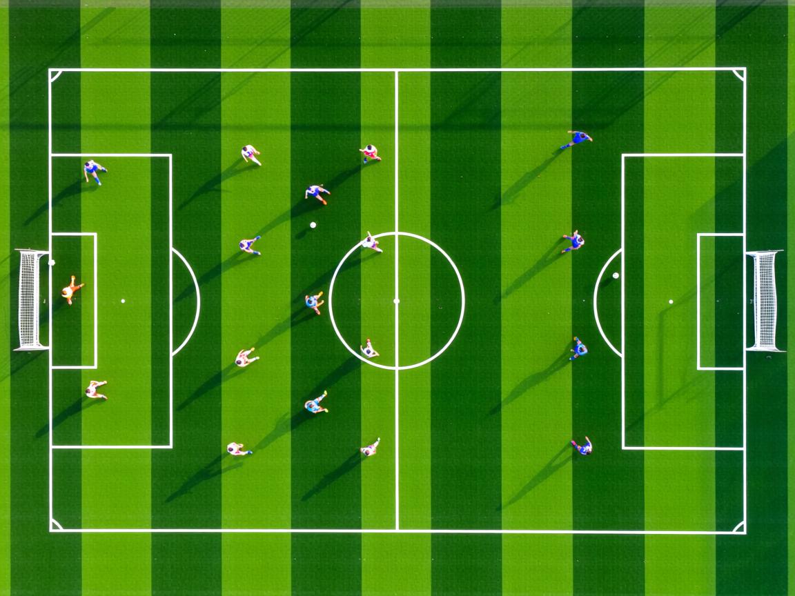 开云体育在线官网-女子400自赛场掀起澳洲风暴，澳大利亚女子400米自由泳  第3张